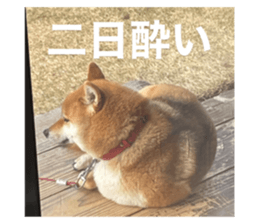 674114950