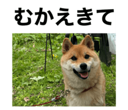 674114952