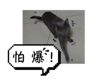 674169432