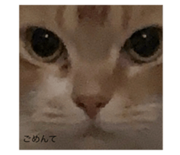 674193964