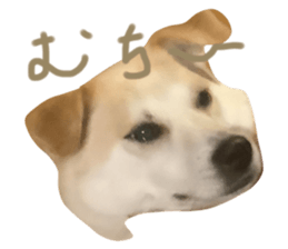 674200152