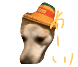 674200154
