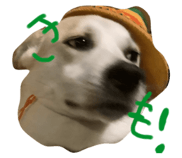 674200157