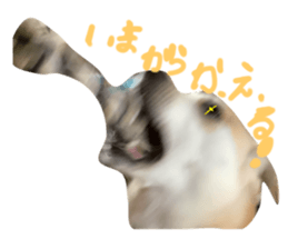 674200175
