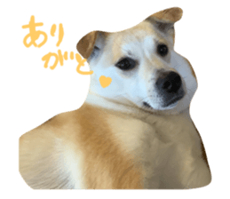674200177