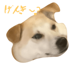 674200182
