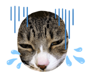 674218938