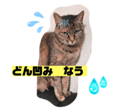674220927