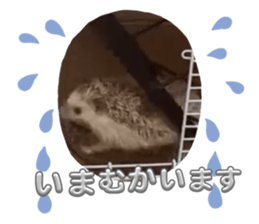 674247777