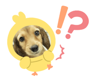 674274837