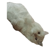674276998