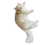 674277000