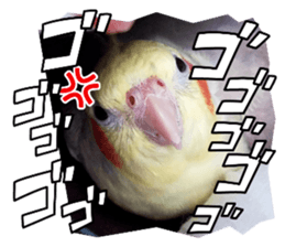 674383024
