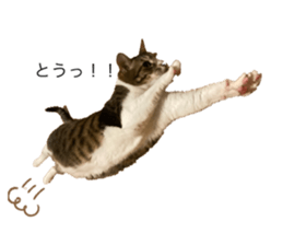674396024