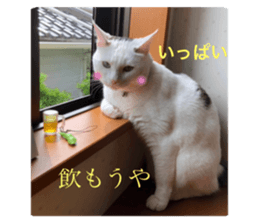 674396029