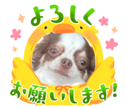 674402916