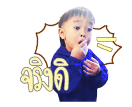 67441577