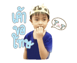 67441596