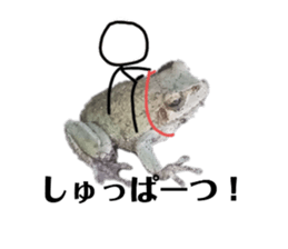 674416565