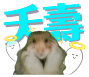 674427226