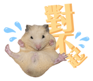674427233