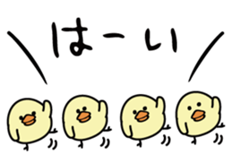 674430381