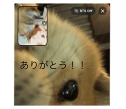 674431137