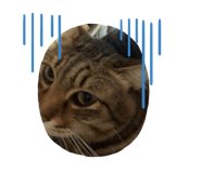 674433184