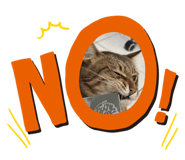 674433187