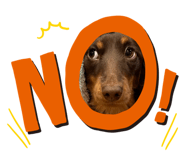 674451926