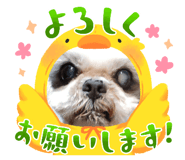 674452046