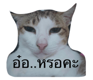 674452943