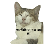 674452944