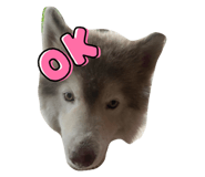 674452945