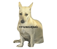 674452946