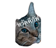 674452947