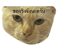 674452949