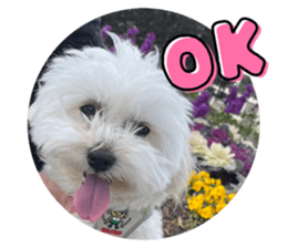 674458361