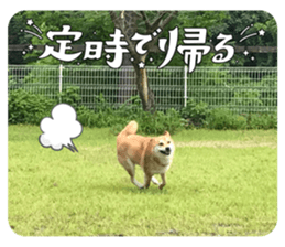 674458523