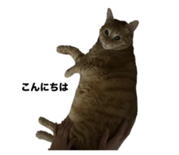 674527176