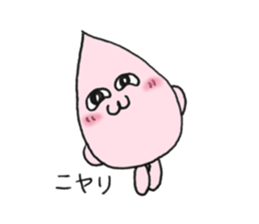 67454605