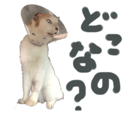 674576330