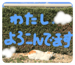 674576343