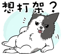 674587470
