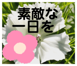 674593357