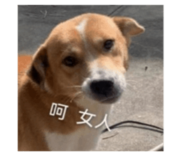 674601375