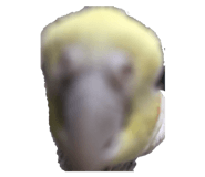 674604086