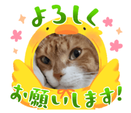 674618891
