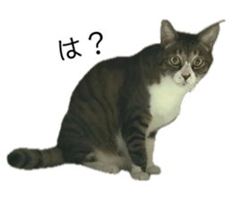 674645830