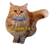 67465422